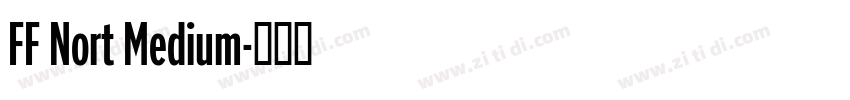 FF Nort Medium字体转换